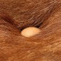 Barhocker 2 Stk. Braun Raues Mangoholz und Echtleder Barhocker 2 Stk. Braun Raues Mangoholz und Echtleder