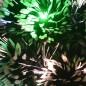 vidaXL Weihnachtsbaum mit LEDs Grün und Weiß 64 cm Fiberoptik vidaXL Weihnachtsbaum mit LEDs Grün und Weiß 64 cm Fiberoptik
