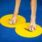 FitPAWS Targets 4 Stk. Gelb und Blau FitPAWS Targets 4 Stk. Gelb und Blau