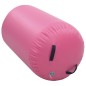 vidaXL Aufblasbare Gymnastik-Rolle mit Pumpe 100x60 cm PVC Rosa vidaXL Aufblasbare Gymnastik-Rolle mit Pumpe 100x60 cm PVC Rosa