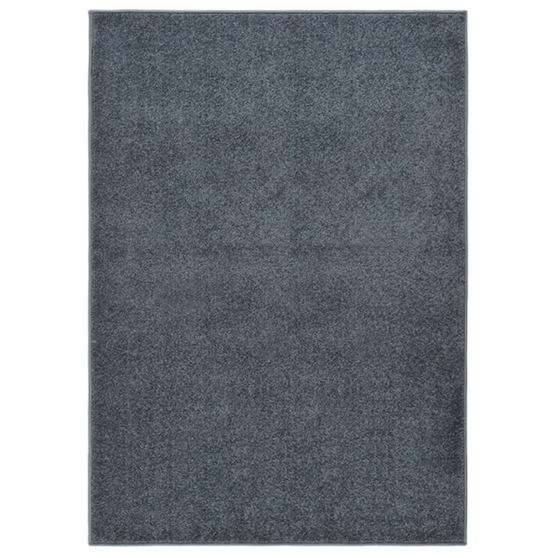 vidaXL Teppich Kurzflor 240x340 cm Anthrazit vidaXL Teppich Kurzflor 240x340 cm Anthrazit