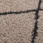 vidaXL Teppich Shaggy Hochflor Beige und Anthrazit 200x290 cm vidaXL Teppich Shaggy Hochflor Beige und Anthrazit 200x290 cm
