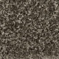 vidaXL Stufenmatten 10 Stk. 65x21x4 cm Grau vidaXL Stufenmatten 10 Stk. 65x21x4 cm Grau