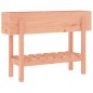 vidaXL Hochbeet 101x30x69 cm Massivholz Douglasie vidaXL Hochbeet 101x30x69 cm Massivholz Douglasie