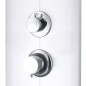 vidaXL Duschpaneel 25x43x110 cm Silber vidaXL Duschpaneel 25x43x110 cm Silber