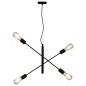 vidaXL Deckenleuchte mit Glühlampen 2 W Schwarz E27 vidaXL Deckenleuchte mit Glühlampen 2 W Schwarz E27
