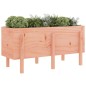 vidaXL Hochbeet 121x50x57 cm Massivholz Douglasie vidaXL Hochbeet 121x50x57 cm Massivholz Douglasie