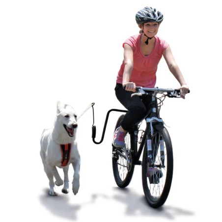 SPRINGER Fahrradhalter für Hunde