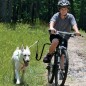 SPRINGER Fahrradhalter für Hunde SPRINGER Fahrradhalter für Hunde