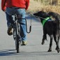 SPRINGER Fahrradhalter für Hunde SPRINGER Fahrradhalter für Hunde