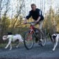 SPRINGER Fahrradhalter für Hunde SPRINGER Fahrradhalter für Hunde