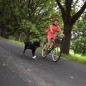 SPRINGER Fahrradhalter für Hunde SPRINGER Fahrradhalter für Hunde