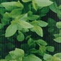 vidaXL Garten-Sichtschutz 4 Stk. PVC 35x0,19 m Grün vidaXL Garten-Sichtschutz 4 Stk. PVC 35x0,19 m Grün