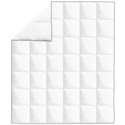 vidaXL Winter-Daunendecke 200x220 cm 