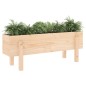 vidaXL Hochbeet 101x30x38 cm Massivholz Kiefer vidaXL Hochbeet 101x30x38 cm Massivholz Kiefer