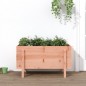 vidaXL Hochbeet 101x50x57 cm Massivholz Douglasie vidaXL Hochbeet 101x50x57 cm Massivholz Douglasie