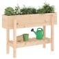 vidaXL Hochbeet 101x30x69 cm Massivholz Kiefer vidaXL Hochbeet 101x30x69 cm Massivholz Kiefer
