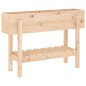 vidaXL Hochbeet 101x30x69 cm Massivholz Kiefer vidaXL Hochbeet 101x30x69 cm Massivholz Kiefer