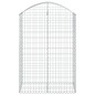 vidaXL Gabione mit Hochbogen 100x50x140/160 cm Verzinktes Eisen vidaXL Gabione mit Hochbogen 100x50x140/160 cm Verzinktes Eisen