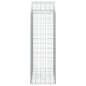 vidaXL Gabione mit Hochbogen 100x50x140/160 cm Verzinktes Eisen vidaXL Gabione mit Hochbogen 100x50x140/160 cm Verzinktes Eisen