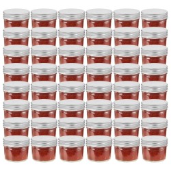 vidaXL Marmeladengläser mit Silbernen Deckeln 48 Stk. 110 ml