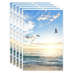 vidaXL Bilderrahmen Collage 5Stk. für Wand Weiß 42x59,4cm MDF 