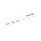 vidaXL Teleskopstangen für Leitkegel 10 Stk. ABS 116-197 cm vidaXL Teleskopstangen für Leitkegel 10 Stk. ABS 116-197 cm