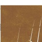 vidaXL Gartentor 85x200 cm Cortenstahl Gras-Design vidaXL Gartentor 85x200 cm Cortenstahl Gras-Design