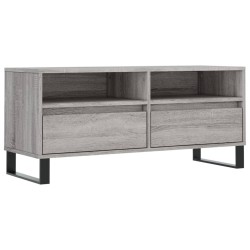 vidaXL TV-Schrank Grau Sonoma 100x34,5x44,5 cm Holzwerkstoff