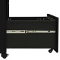 vidaXL Aktenschrank mit Rollen Schwarz 30x45x59 cm Stahl vidaXL Aktenschrank mit Rollen Schwarz 30x45x59 cm Stahl