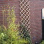 Nature Garten Gitter 70x180 cm Bambus 6040721 Nature Garten Gitter 70x180 cm Bambus 6040721