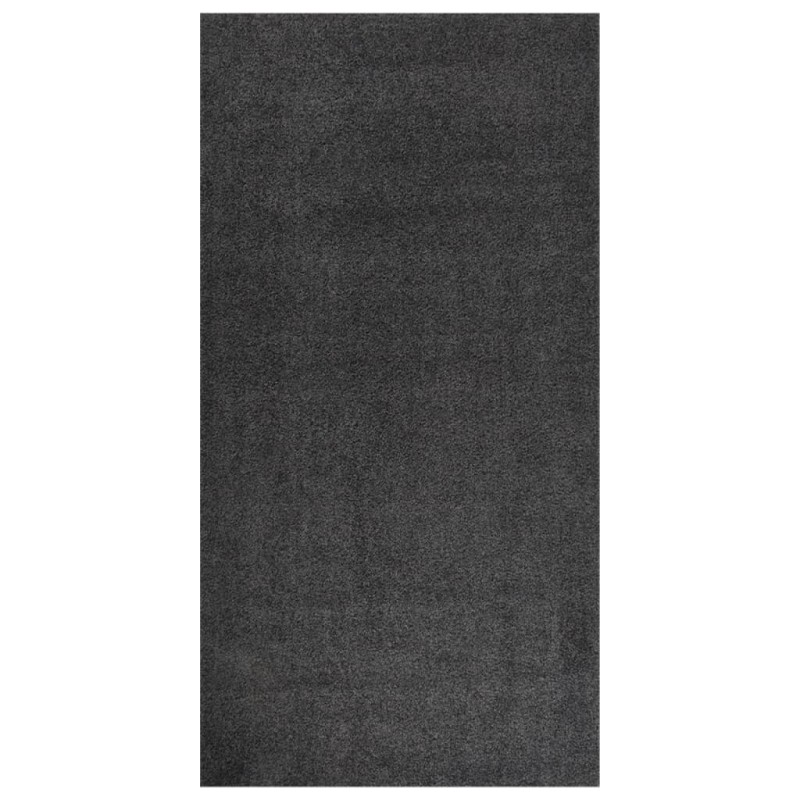 vidaXL Teppich Shaggy Hochflor Anthrazit 80x150 cm vidaXL Teppich Shaggy Hochflor Anthrazit 80x150 cm