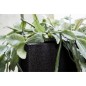 Capi Pflanzgefäß Urban Smooth Quadratisch 30x30x30 cm Schwarz KBL902 Capi Pflanzgefäß Urban Smooth Quadratisch 30x30x30 cm Schwarz KBL902