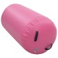 vidaXL Aufblasbare Gymnastik-Rolle mit Pumpe 120x90 cm PVC Rosa vidaXL Aufblasbare Gymnastik-Rolle mit Pumpe 120x90 cm PVC Rosa