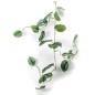 Emerald Kunstpflanze Gefleckte Efeutute Girlande 120 cm Emerald Kunstpflanze Gefleckte Efeutute Girlande 120 cm