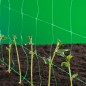 Nature Ranknetz Grün 1 x 10 m 6030429 Nature Ranknetz Grün 1 x 10 m 6030429
