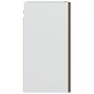 vidaXL Hängeschrank Braun Eiche 50x31x60 cm Holzwerkstoff vidaXL Hängeschrank Braun Eiche 50x31x60 cm Holzwerkstoff