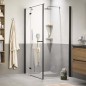 Sealskin Wasserschieber Deluxe Chrom Sealskin Wasserschieber Deluxe Chrom