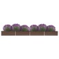 vidaXL Garten-Hochbeet Verzinkter Stahl 600x80x45 cm Braun vidaXL Garten-Hochbeet Verzinkter Stahl 600x80x45 cm Braun
