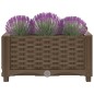 vidaXL Hochbeet 40x40x23 cm Polypropylen vidaXL Hochbeet 40x40x23 cm Polypropylen