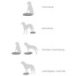 FitPAWS Balance-Scheibe für Haustiere 56 cm Razzleberry FitPAWS Balance-Scheibe für Haustiere 56 cm Razzleberry