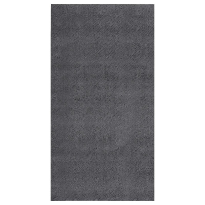 vidaXL Teppich Waschbar Flauschig Kurzflor 80x150 Rutschfest Anthrazit vidaXL Teppich Waschbar Flauschig Kurzflor 80x150 Rutschfest Anthrazit