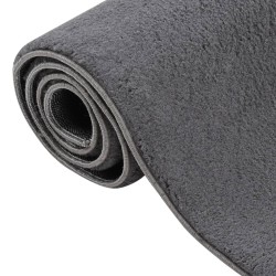 vidaXL Teppich Waschbar Flauschig Kurzflor 80x150 Rutschfest Anthrazit