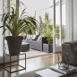 Capi Blumentopf Urban Smooth Quadratisch 50 x 50 x 50cm Schwarz KBL904 Capi Blumentopf Urban Smooth Quadratisch 50 x 50 x 50cm Schwarz KBL904