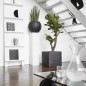 Capi Blumentopf Urban Smooth Quadratisch 50 x 50 x 50cm Schwarz KBL904 Capi Blumentopf Urban Smooth Quadratisch 50 x 50 x 50cm Schwarz KBL904