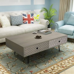 vidaXL Couchtisch 100x60x35 cm grau