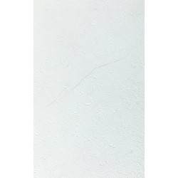 Grosfillex Wandfliesen Gx Wall+ 11 Stk. Stein 30x60 cm Weiß