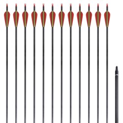 Standard Recurvebogen-Pfeile 30" 0,76 cm Karbon 12 Stück