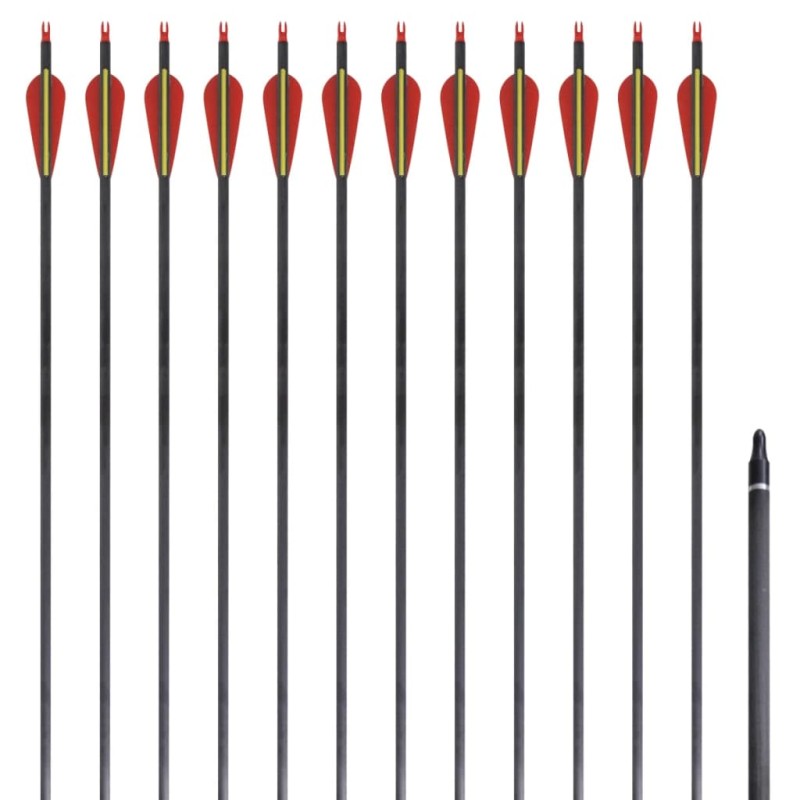 Standard Recurvebogen-Pfeile 30" 0,76 cm Karbon 12 Stück Standard Recurvebogen-Pfeile 30" 0,76 cm Karbon 12 Stück