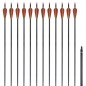 Standard Recurvebogen-Pfeile 30" 0,76 cm Karbon 12 Stück Standard Recurvebogen-Pfeile 30" 0,76 cm Karbon 12 Stück